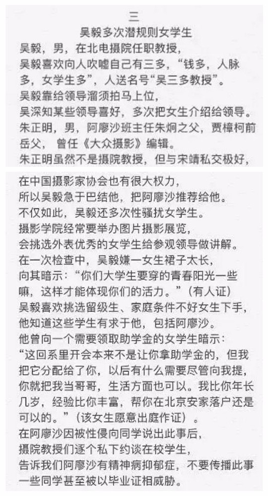 守护时间的年轮：千年古树的新生